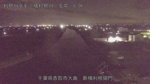 yoko2026010720_image