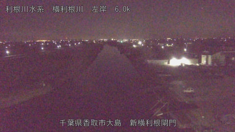 yoko2026010804_image