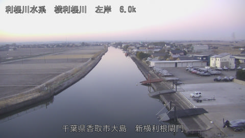 yoko2026010807_image