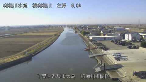 yoko2026010810_image