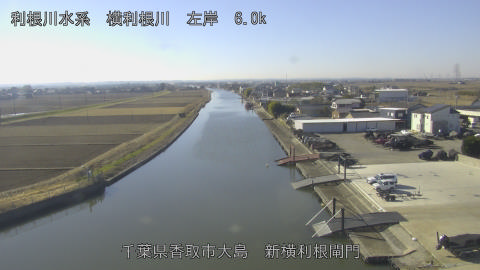 yoko2026010811_image