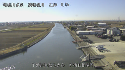 yoko2026010812_image