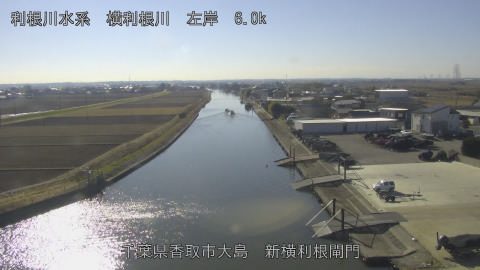 yoko2026010813_image