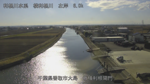 yoko2026010814_image