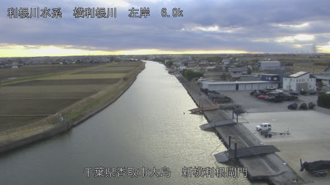 yoko2026010816_image