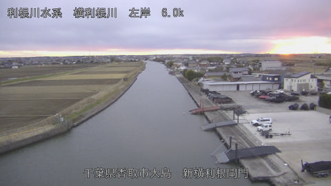 yoko2026010817_image