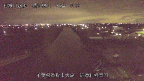 yoko2026010819_image