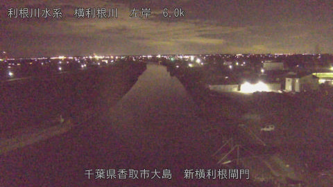 yoko2026010821_image