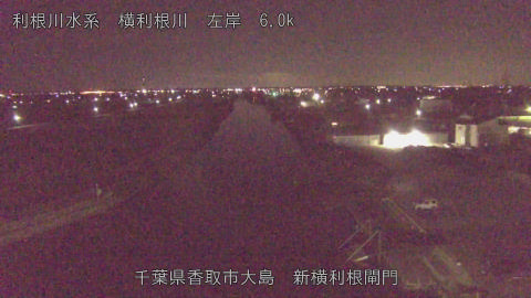 yoko2026010901_image