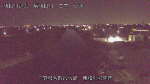 yoko2026010905_image