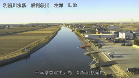 yoko2026010908_image