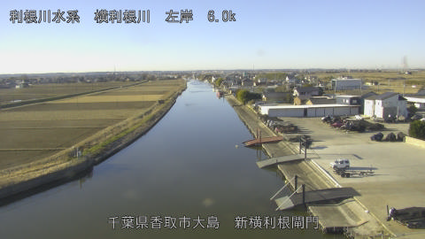 yoko2026010909_image