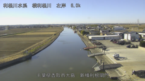 yoko2026010910_image