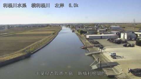 yoko2026010911_image