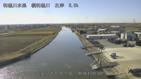 yoko2026010912_image