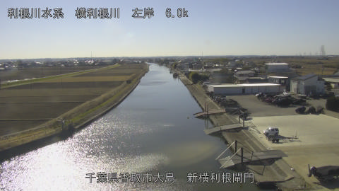 yoko2026010913_image