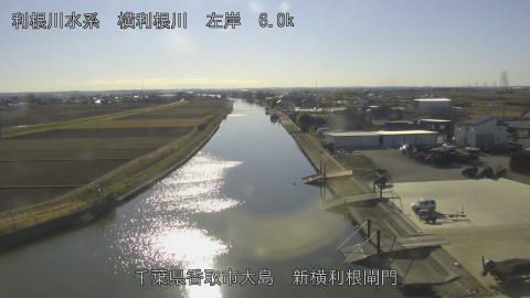 yoko2026010914_image