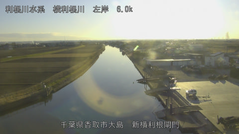 yoko2026010916_image