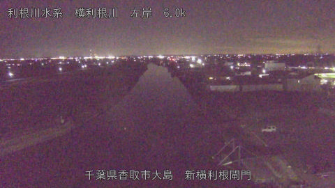 yoko2026010919_image