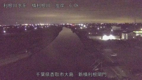 yoko2026010921_image