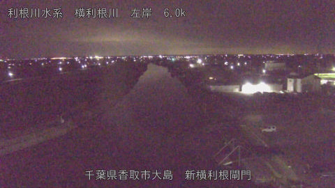 yoko2026011000_image