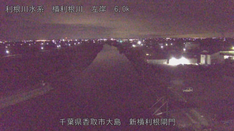 yoko2026011001_image