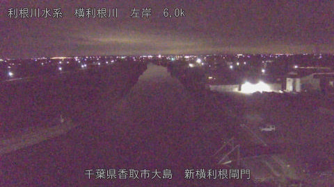 yoko2026011002_image