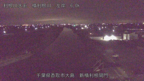 yoko2026011004_image