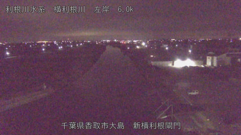 yoko2026011005_image