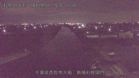 yoko2026011006_image