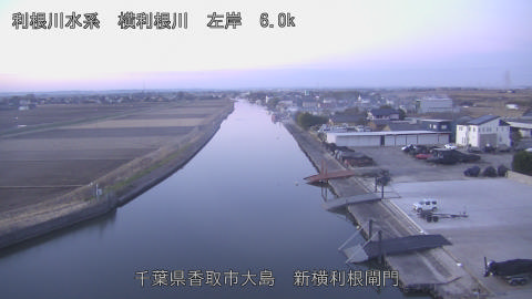 yoko2026011007_image