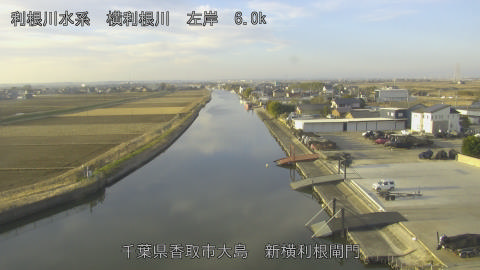 yoko2026011008_image