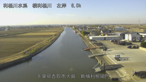 yoko2026011009_image