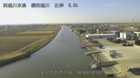 yoko2026011010_image