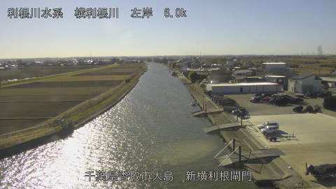 yoko2026011013_image