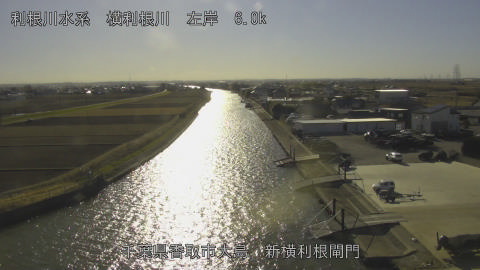 yoko2026011014_image