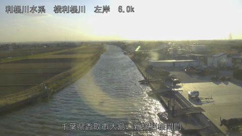 yoko2026011016_image