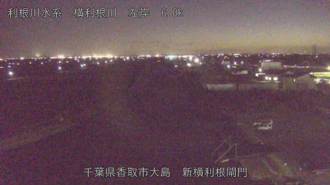 yoko2026011018_image