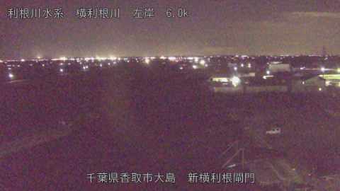 yoko2026011019_image