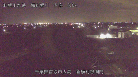 yoko2026011021_image