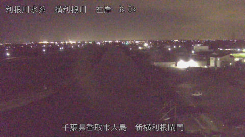 yoko2026011022_image