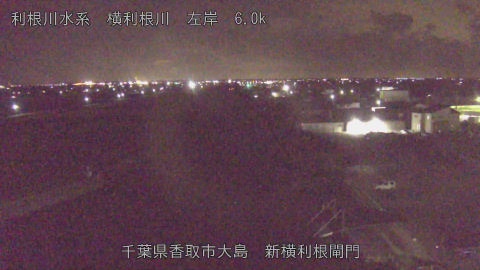 yoko2026011023_image