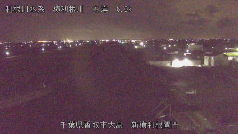 yoko2026011100_image