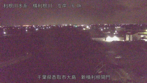 yoko2026011101_image