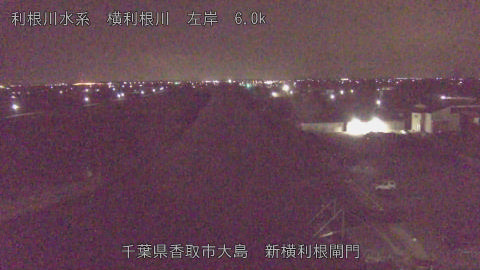 yoko2026011103_image