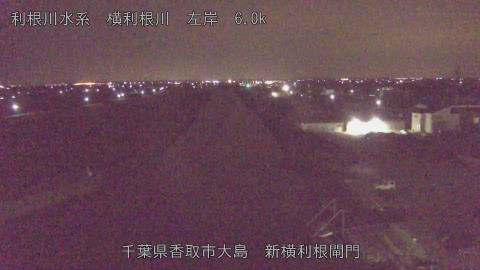 yoko2026011105_image