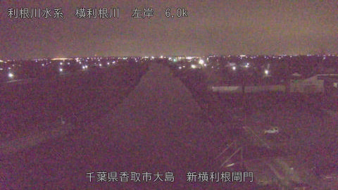 yoko2026011106_image