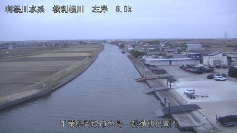 yoko2026011107_image