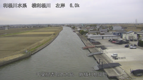 yoko2026011108_image