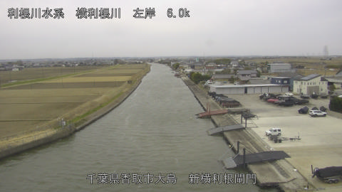 yoko2026011109_image